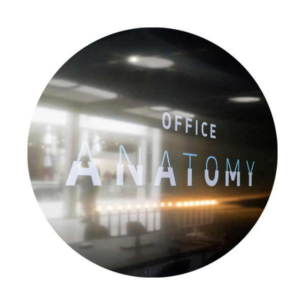 office-anatomy-img0